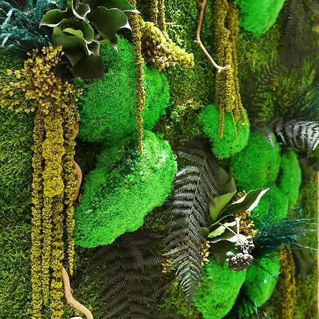 Jardins De Mademoiselle & París